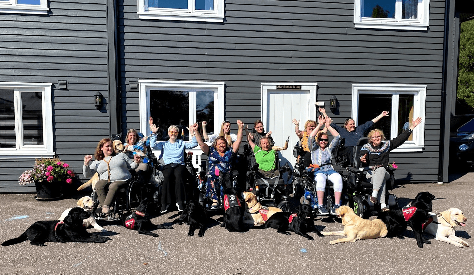 Organisasjonens bilde