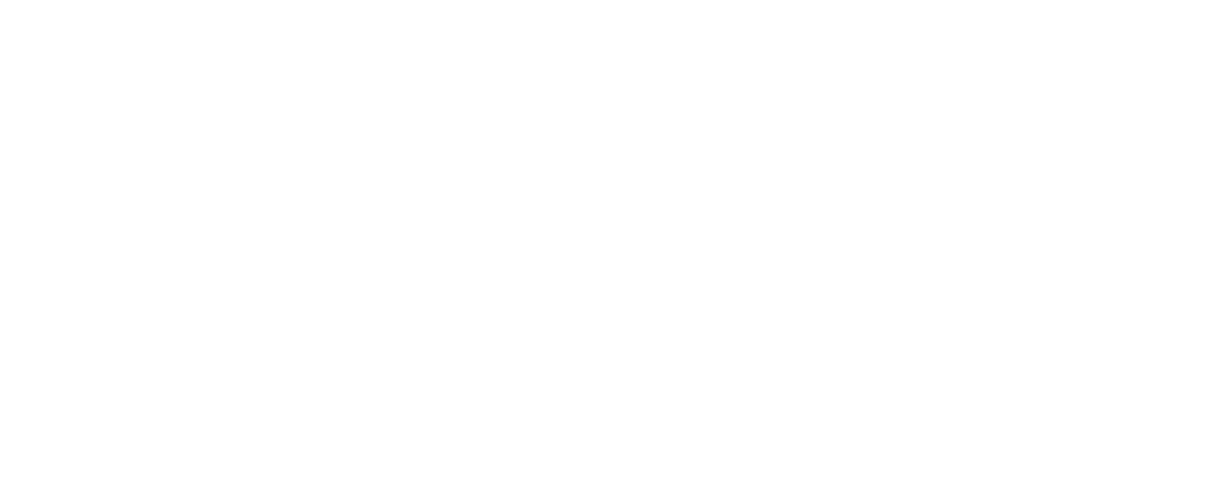 Organisasjonens bilde