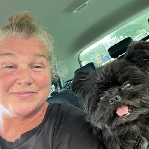 Amy Belle Hauge sitt profilbilde