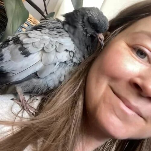 Maria Solberg Dolmen sitt profilbilde