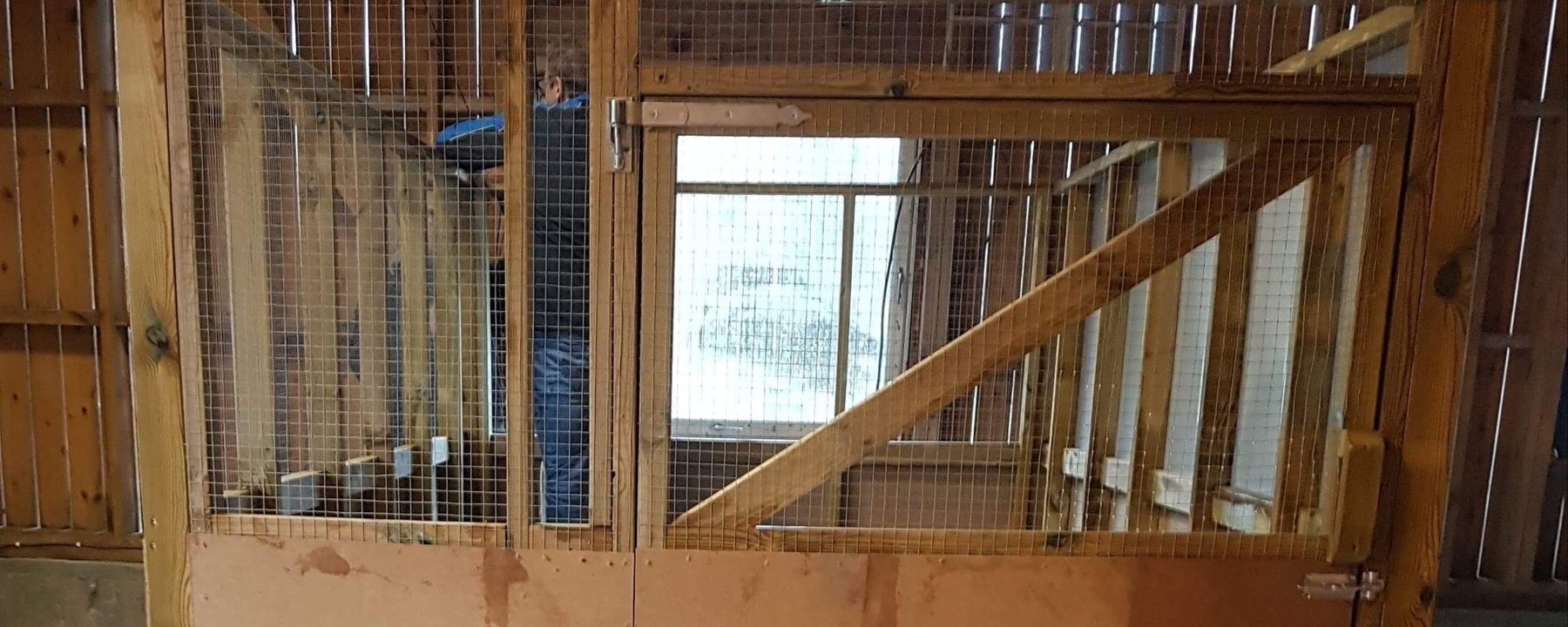 Prosjektbilde for Fosterhjemsgård til kaniner i nød 