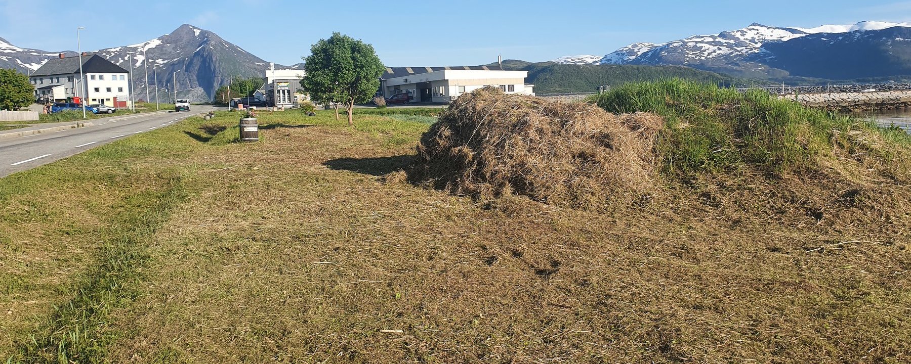 Prosjektbilde for Beplanting og skilting langs Bergsfjordveien og i sentrum på Skaland.