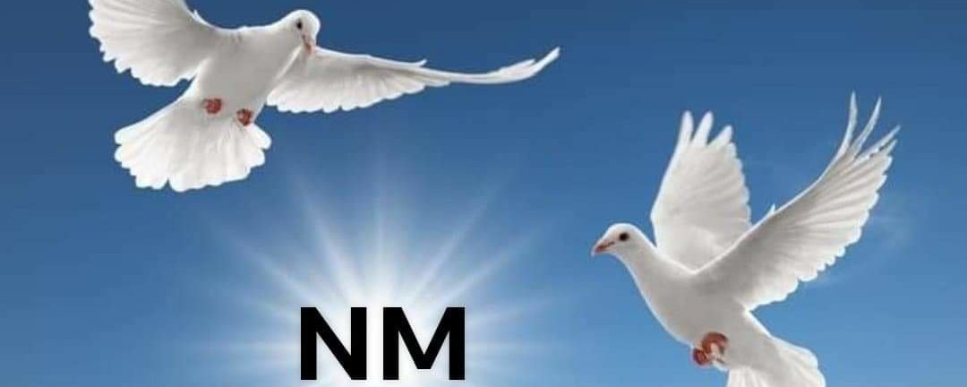Prosjektbilde for Hjelp NM Market As med vekst 