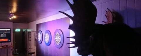 Prosjektbilde for Fyresdal Dartklubb Dartskivebelysning