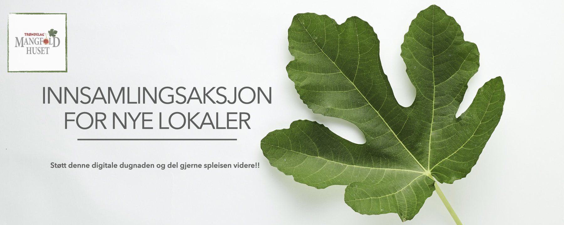Prosjektbilde for Mangfoldshuset Trøndelag - Innsamlingsaksjon for nye lokaler!