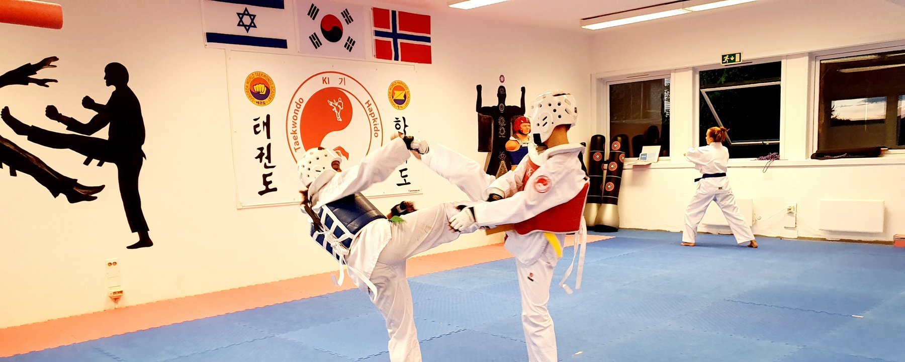Prosjektbilde for Sportig Multigym 2000