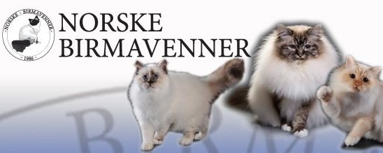 Prosjektbilde for Birma i Nød