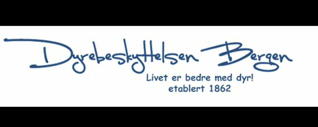 Prosjektbilde for Støtt Dyrebeskyttelsen Bergen 