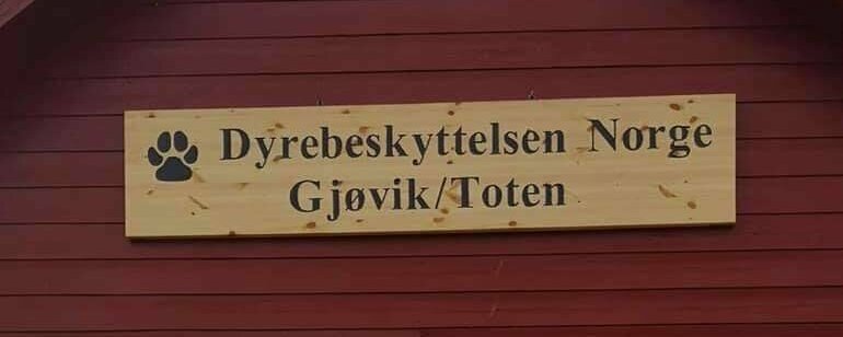 Prosjektbilde for Til min bursdag ønsker/t jeg å samle inn penger til Dyrebeskyttelsen Gjøvik/Toten.