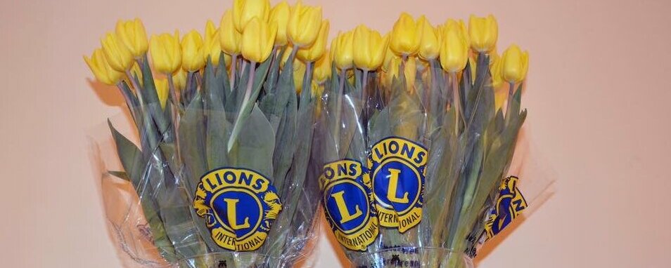 Prosjektbilde for LIONS DIGITALE TULIPANAKSJON I SPYDEBERG