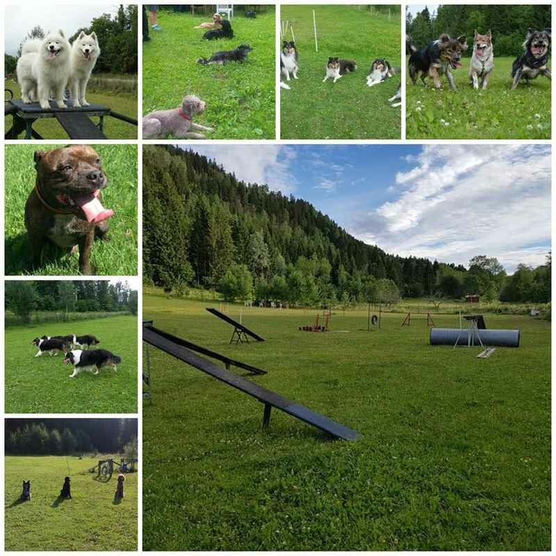 Bilde av belønningen