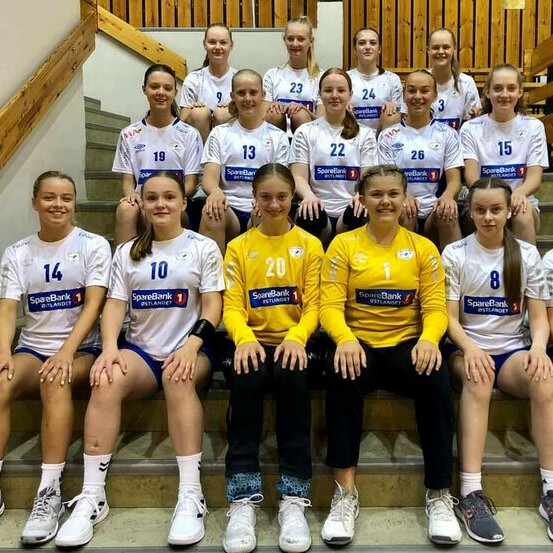 Vang Håndball J2006  sitt profilbilde