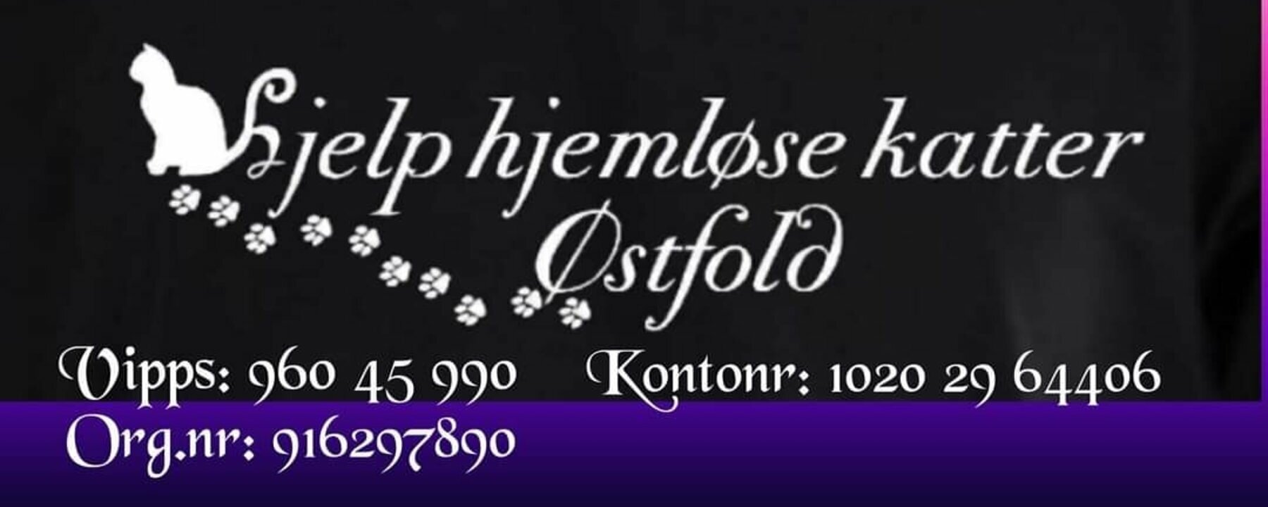 Prosjektbilde for Samler inn penger til -Hjelp hjemløse katter Østfold, drevet av Linda henriksen.