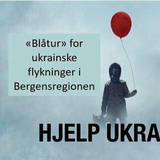 Lions klubber i Bergensområdet sitt profilbilde