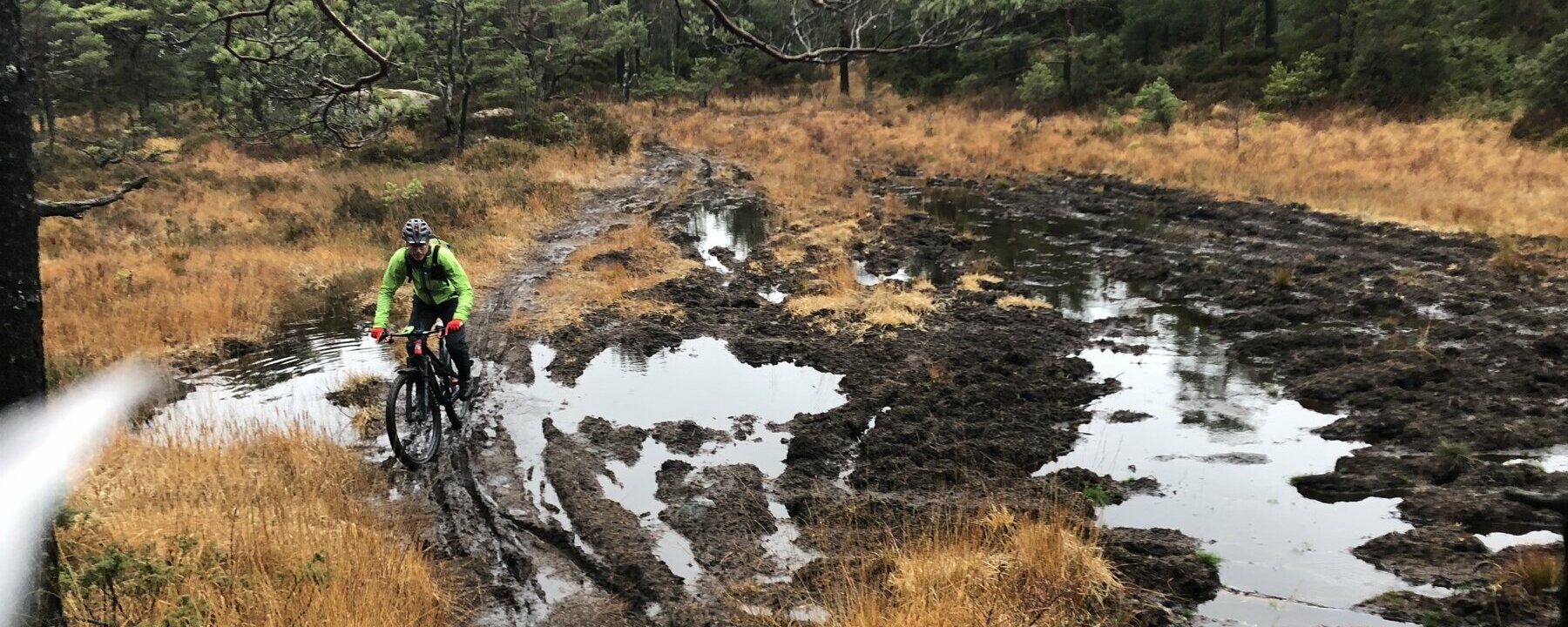 Prosjektbilde for Plank til å legge over myra. 