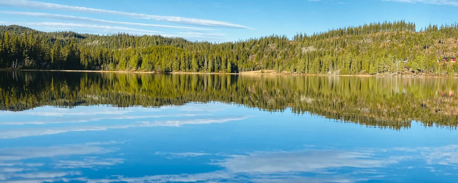 Prosjektbilde for Badestrand ved Damtjern