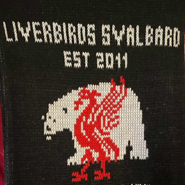 Liverbirds Svalbard sitt profilbilde