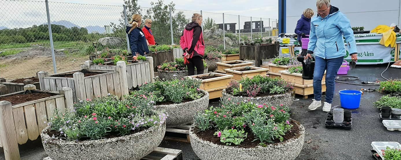 Prosjektbilde for Bidra til et blomstrende Melbu