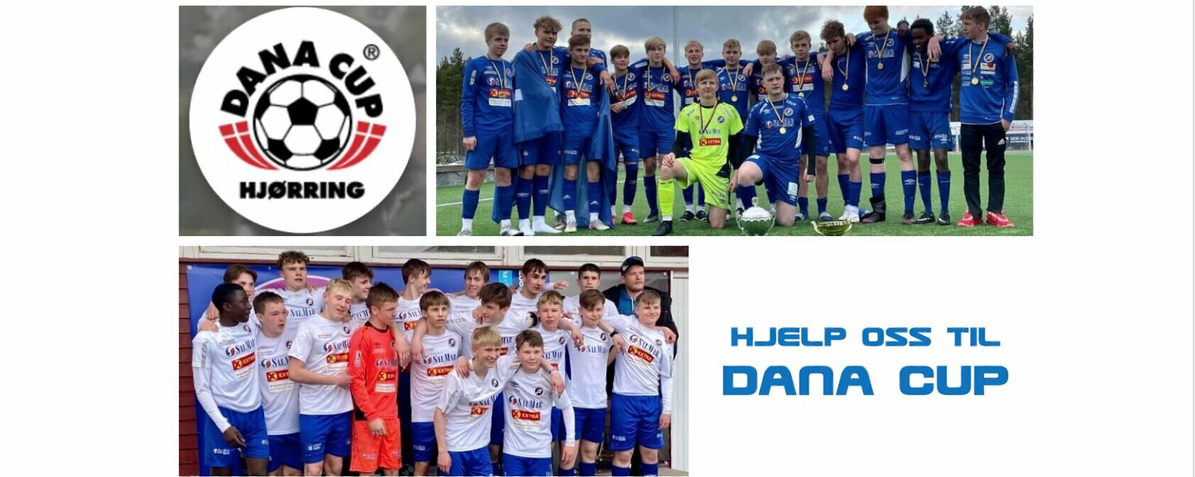 Prosjektbilde for Hjelp oss til DanaCup - FK Senja