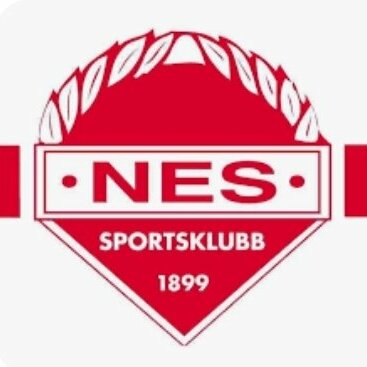 Nes Sportsklubb, Turngruppa sitt profilbilde
