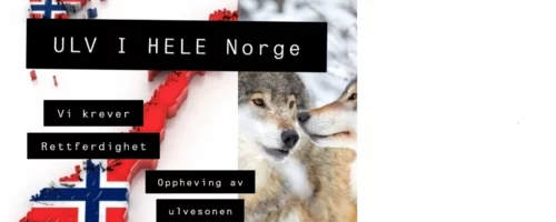 Prosjektbilde for  Vi trenger utstyr til avdekke fauna kriminalitet 