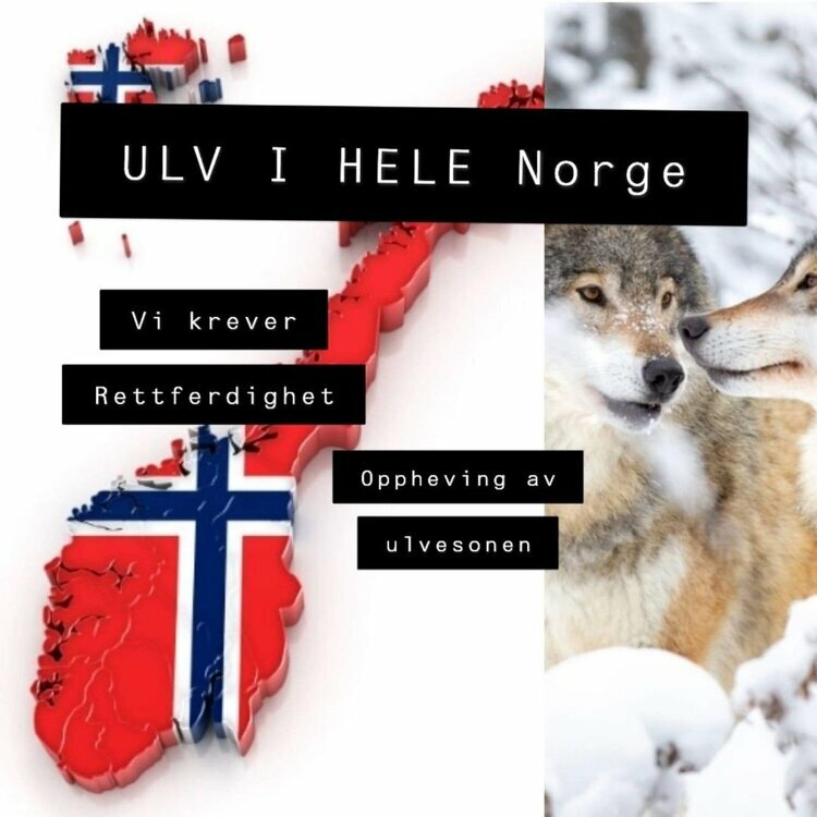 ULV I HELE NORGE sitt profilbilde