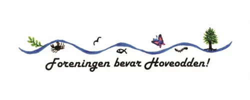 Prosjektbilde for Jeg vil gjerne støtte Foreningen Bevar Hoveodden! s arbeid for å redde Hoveodden fra utbygging!