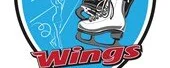 Prosjektbilde for Wings kunstløp ønsker seg trening og konkurranseklær 