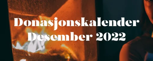 Prosjektbilde for Malins donasjonskalender - 3. desember - Rocket-Man