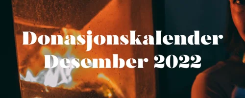 Prosjektbilde for Malins donasjonskalender - 7. desember - Oslo Pride