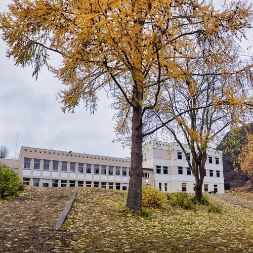 Grov skole sitt profilbilde