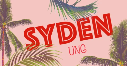 Prosjektbilde for Stiftelsen SydenUng 