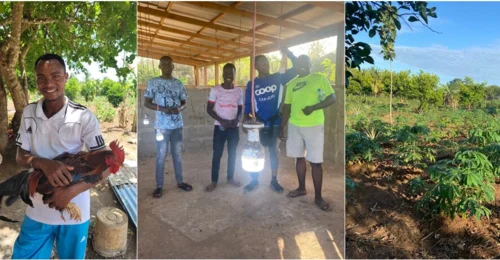 Prosjektbilde for Blir du med å skape arbeidsplasser og bærekraftig gårdsdrift i Tanzania?