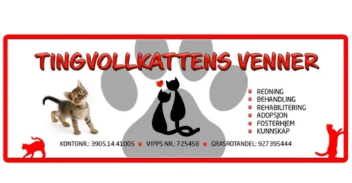 Prosjektbilde for Gave til Tingvollkattens venner
                  🐈        🥰