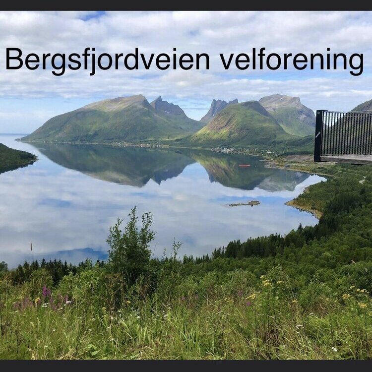 Bergsfjordveien Velforening sitt profilbilde
