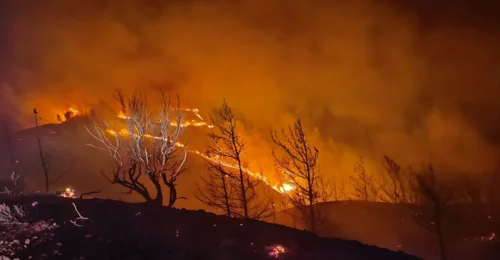 Prosjektbilde for Skogbrann på Rodos- STØTTE / Rhodes Island wildfires- SUPPORT

