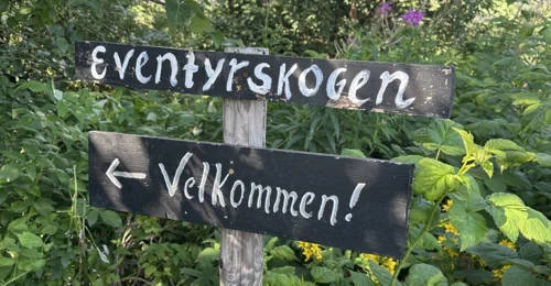 Prosjektbilde for Eventyrskogen i Follebu