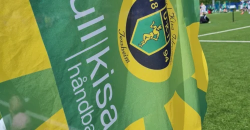 Prosjektbilde for Støtt Ull/Kisa håndball gutter 10 og 11 år