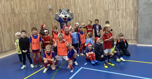 Prosjektbilde for Dugnad for 2017 barna i Rælingen Fotball