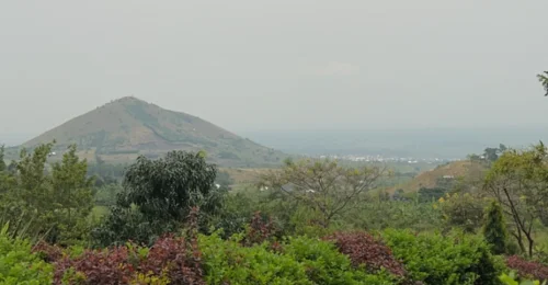 Prosjektbilde for Jordbruket, Kasese 2024❤️