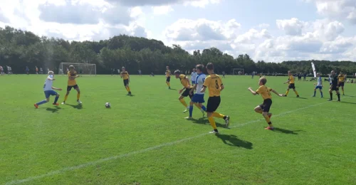 Prosjektbilde for Tjensvoll FK - Flest mulig, lengst mulig