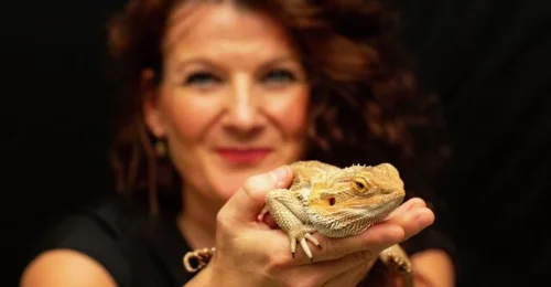 Prosjektbilde for Ramstadskogen Barnehage ønsker seg besøk av Oslo Reptilpark 🦎🐍🐢