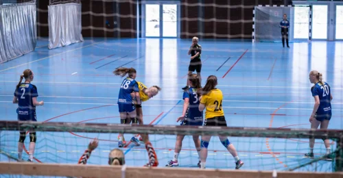 Prosjektbilde for Støtt Hundvåg Håndball J2012 på vei til Dyreparken cup