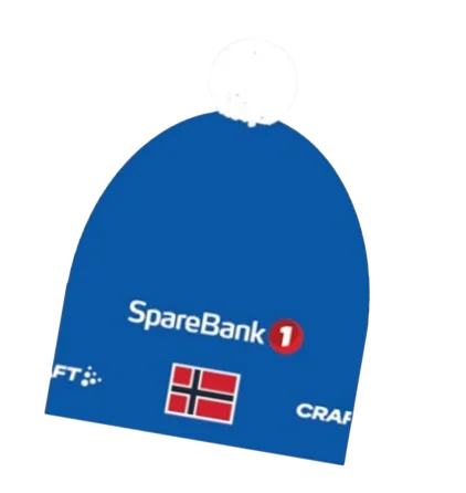 Bilde av belønningen