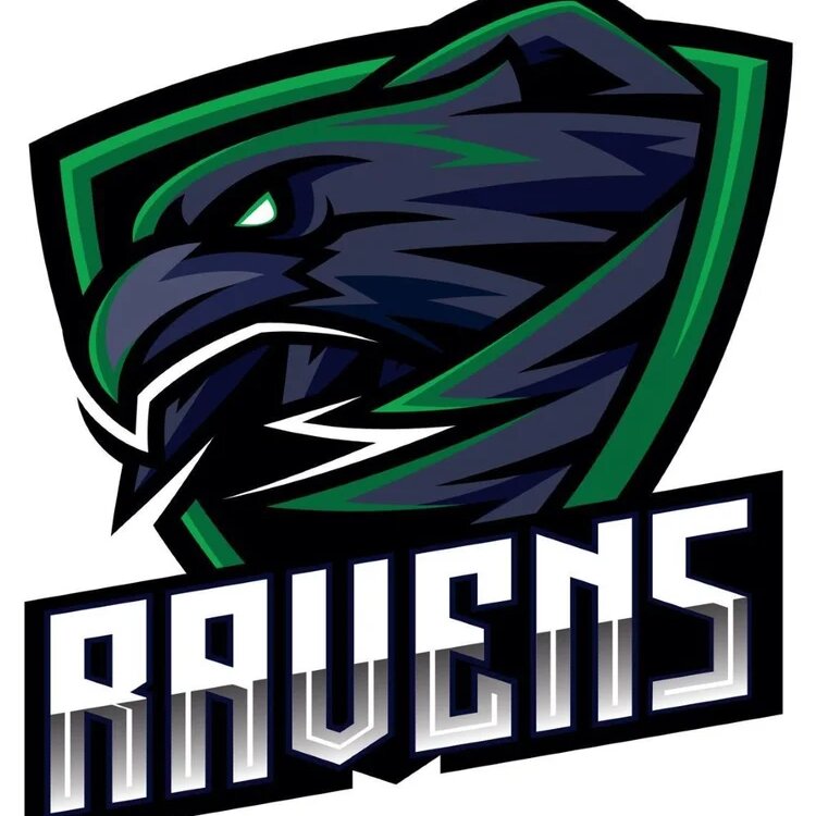 Forus/Sandnes Ravens U20 Elite Hockeylag sitt profilbilde