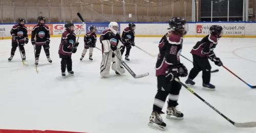 Prosjektbilde for Hockeyjentene på Ullensaker Flyers JU11 ønsker seg nye treningsdresser og treningsdrakter 🏒