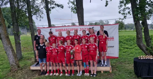 Prosjektbilde for  Støtt Nes j15 på veien til l Norway cup 2024