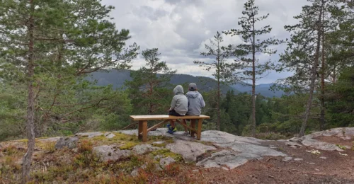 Prosjektbilde for Far med 2 gutter på 7 og 12 år trenger hjelp!