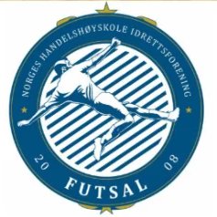NHHI Futsal sitt profilbilde