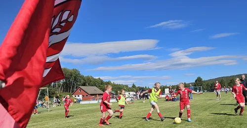 Prosjektbilde for Høstdugnad TIF Fotball - J11